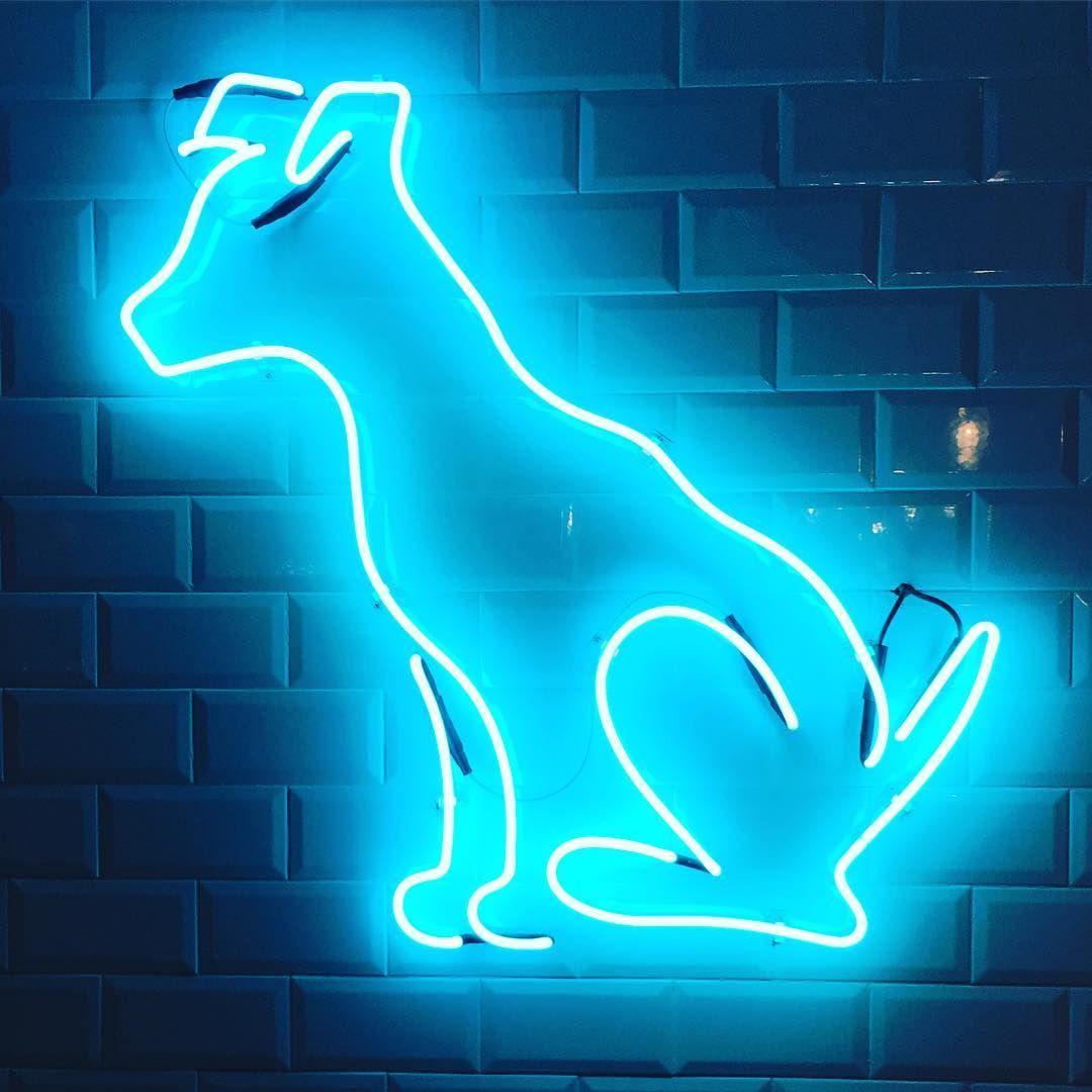 Neon Lights Animals Wallpapers