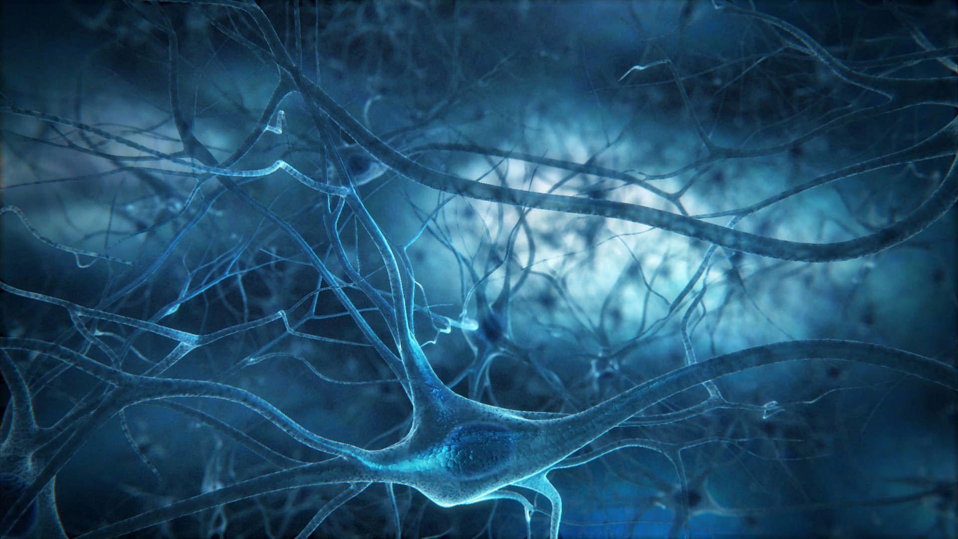 Neuron Wallpapers