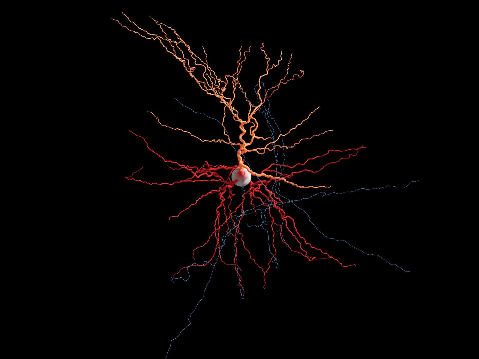 Neuron Wallpapers