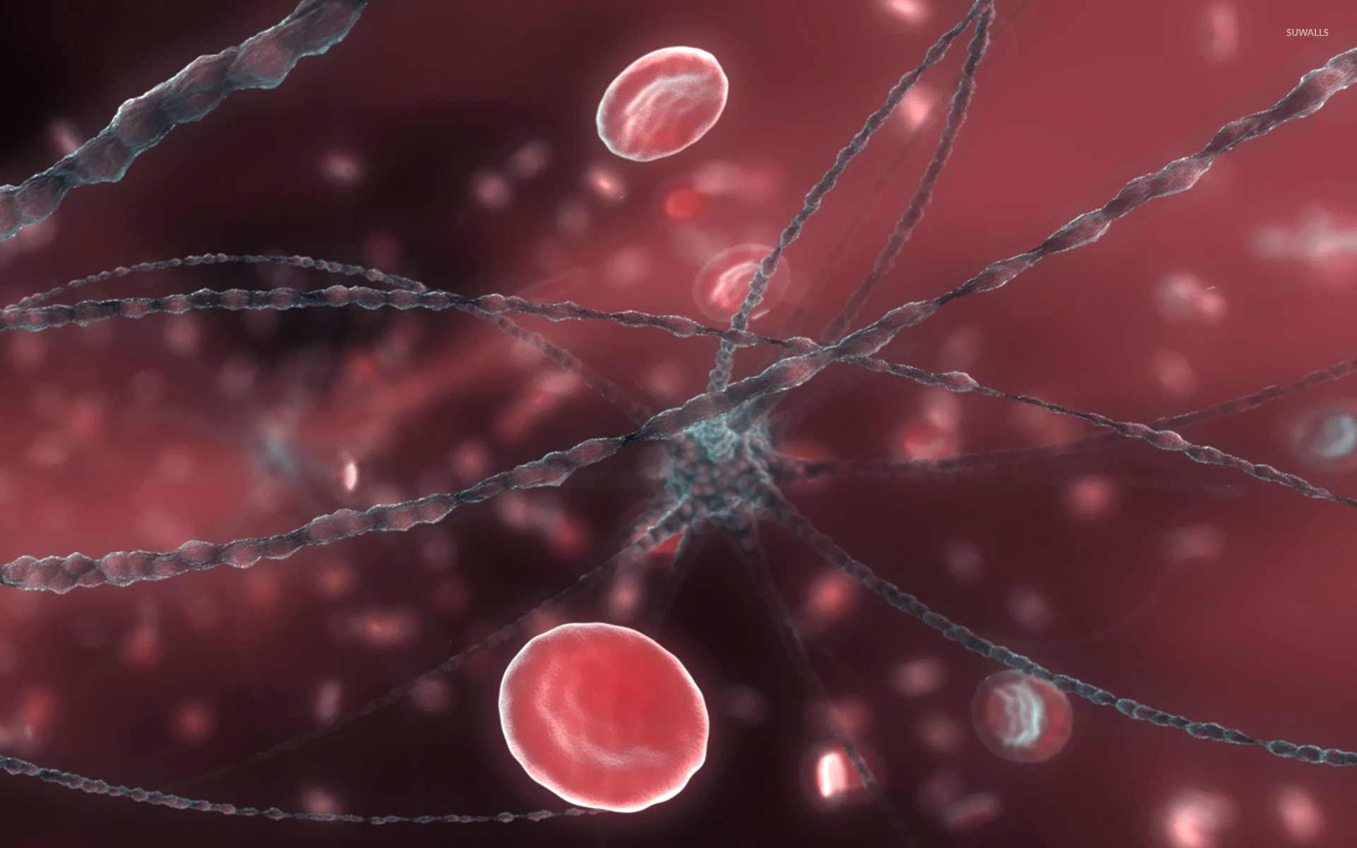 Neuron Wallpapers