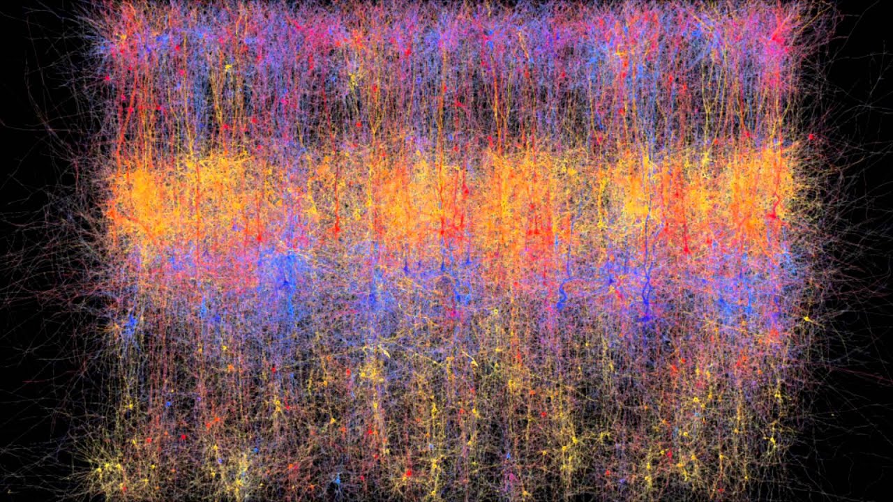 Neuroscience Wallpapers