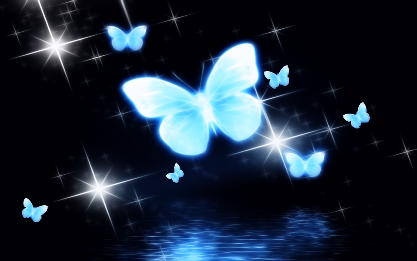 New Butterfly Wallpapers