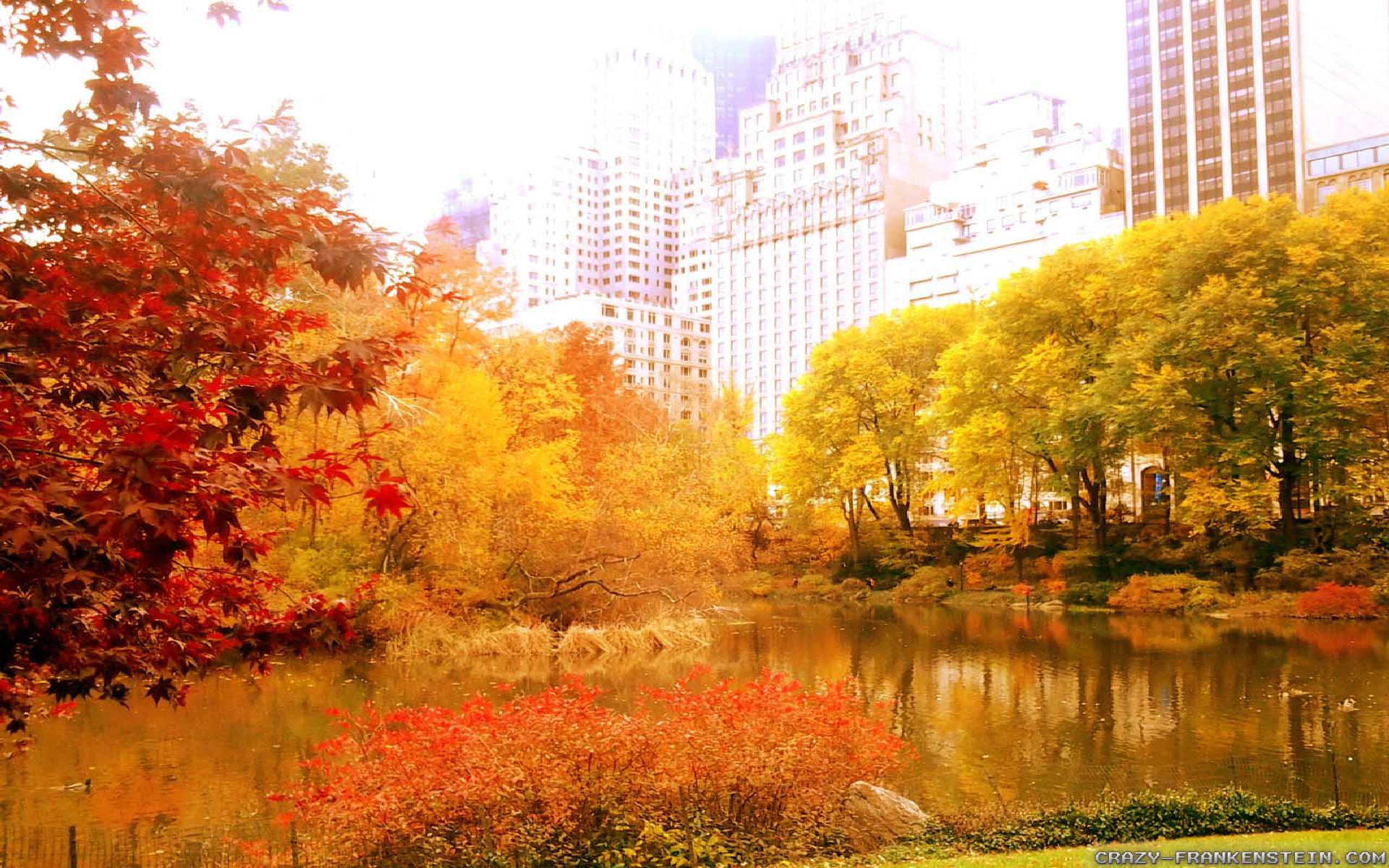 New York Fall Wallpapers