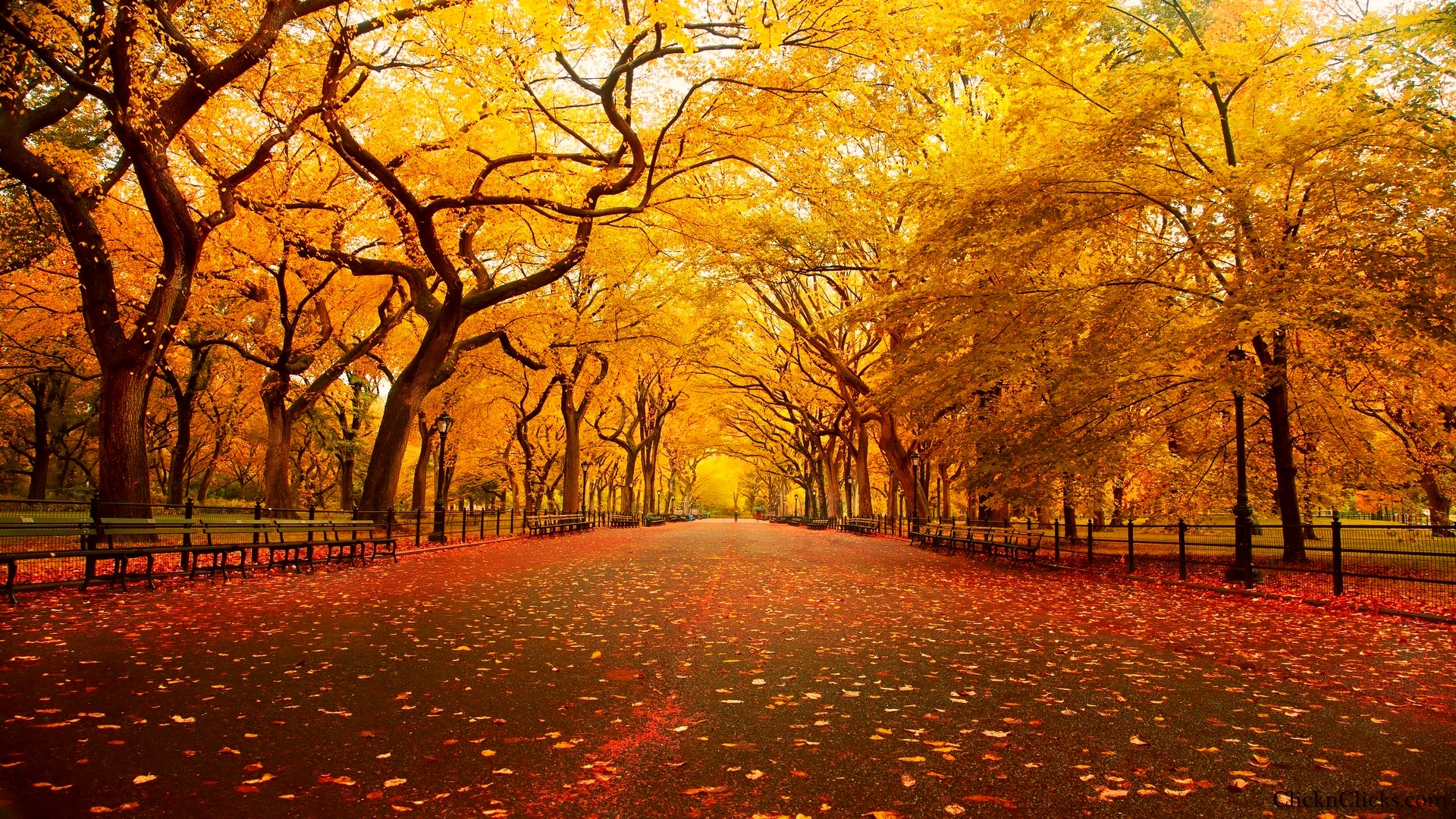 New York Fall Wallpapers