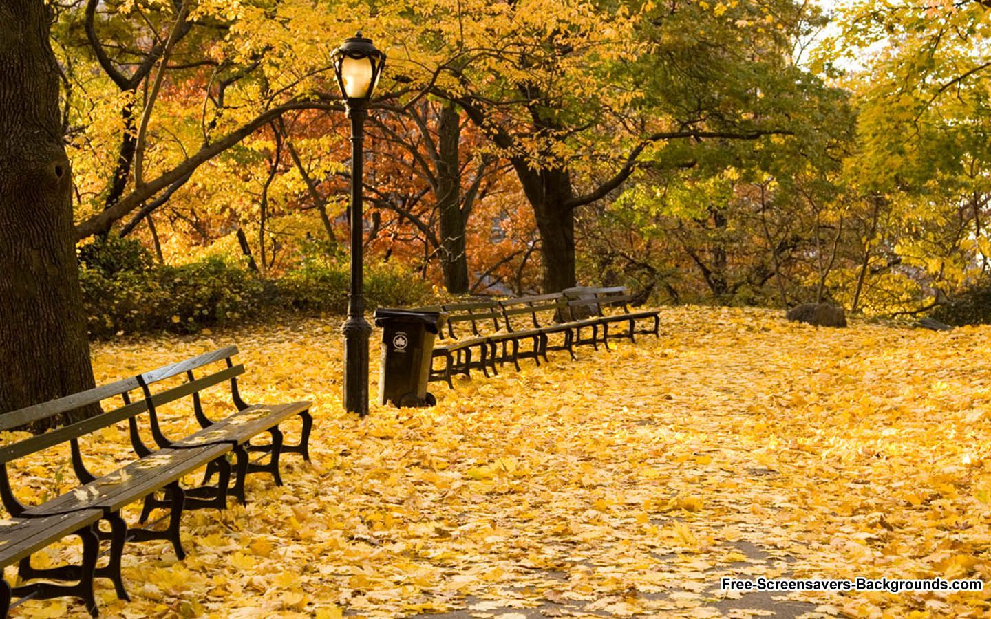 New York Fall Wallpapers