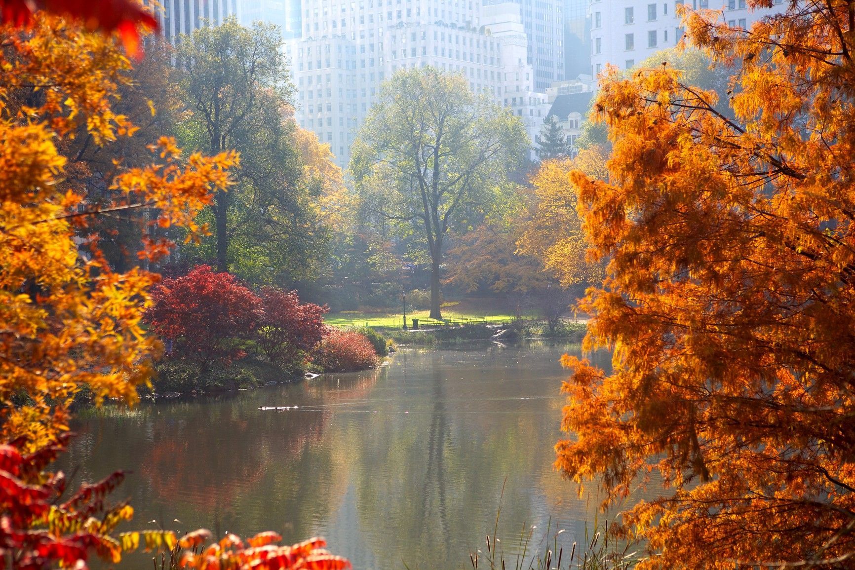 New York Fall Wallpapers