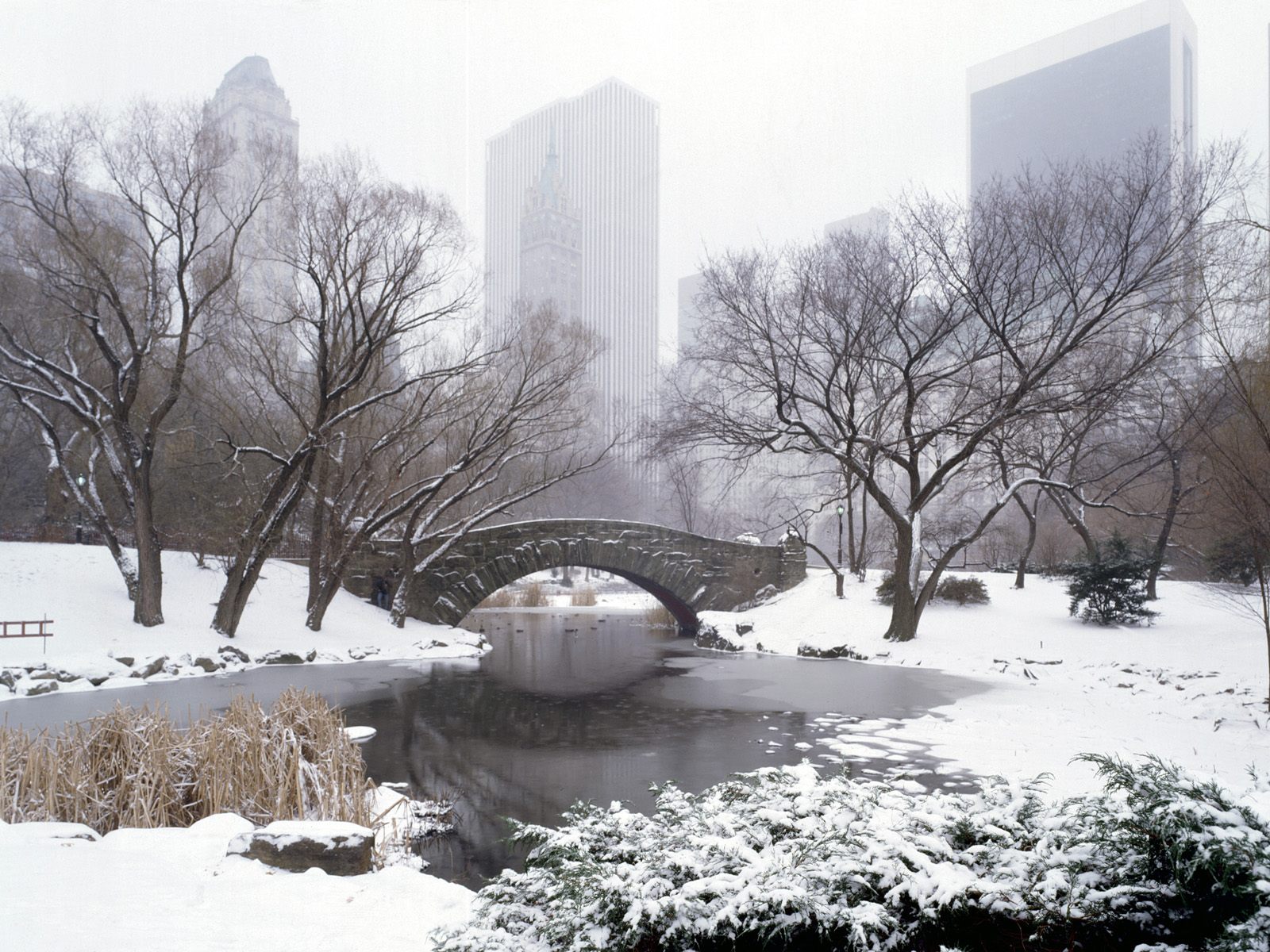 New York Snow Wallpapers