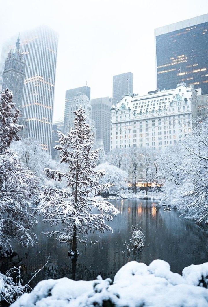 New York Snow Wallpapers