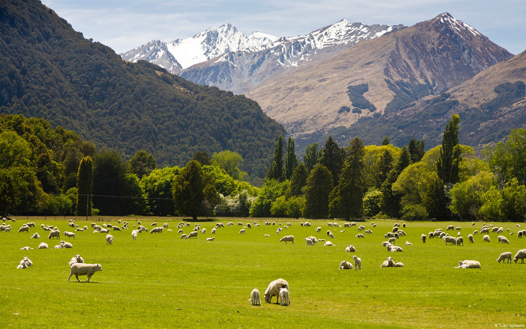 New Zealand Scenery Images Wallpapers