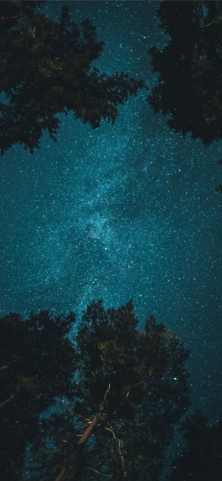 Night Phone Wallpapers