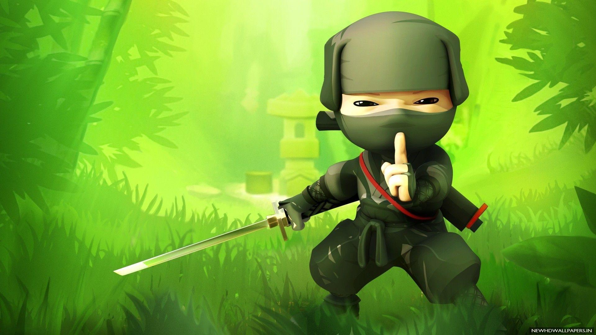 Ninja Fight Screensaver Wallpapers