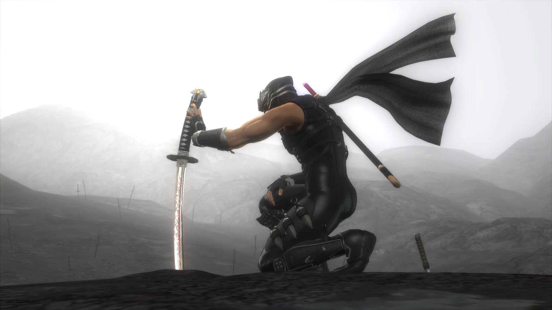 Ninja Gaiden 2 Wallpapers