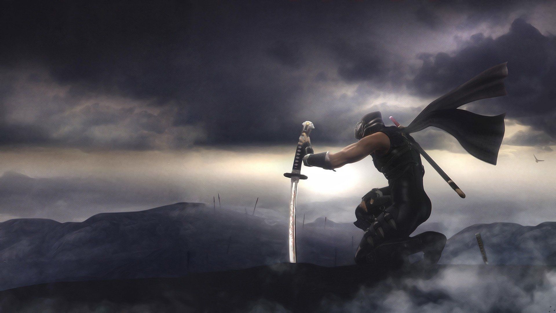 Ninja Gaiden 2 Wallpapers