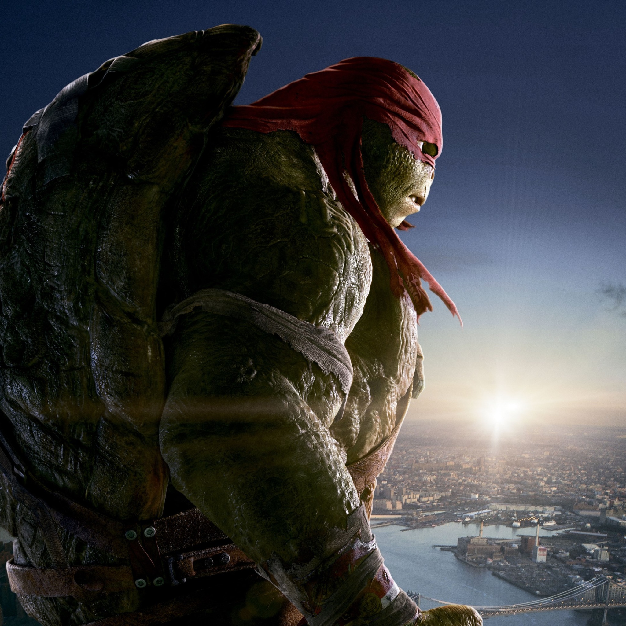 Ninja Turtles Wallpapers