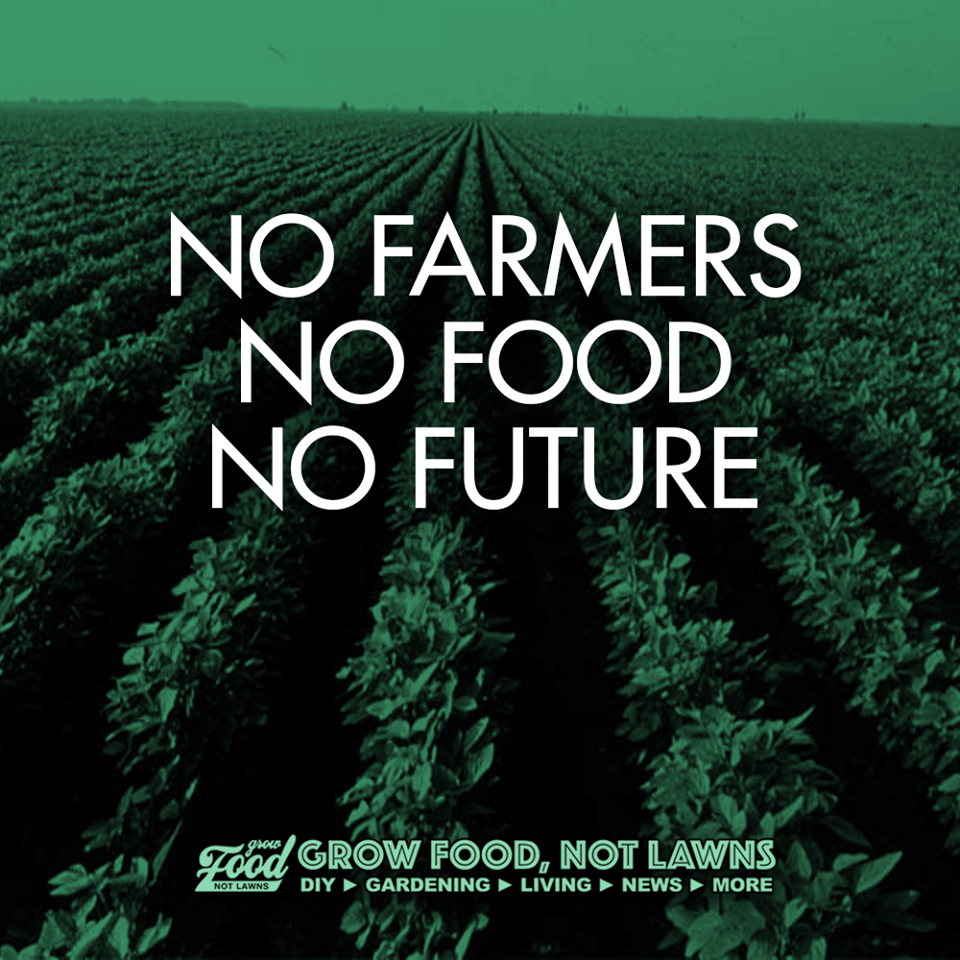 No Farm No Food Wallpapers