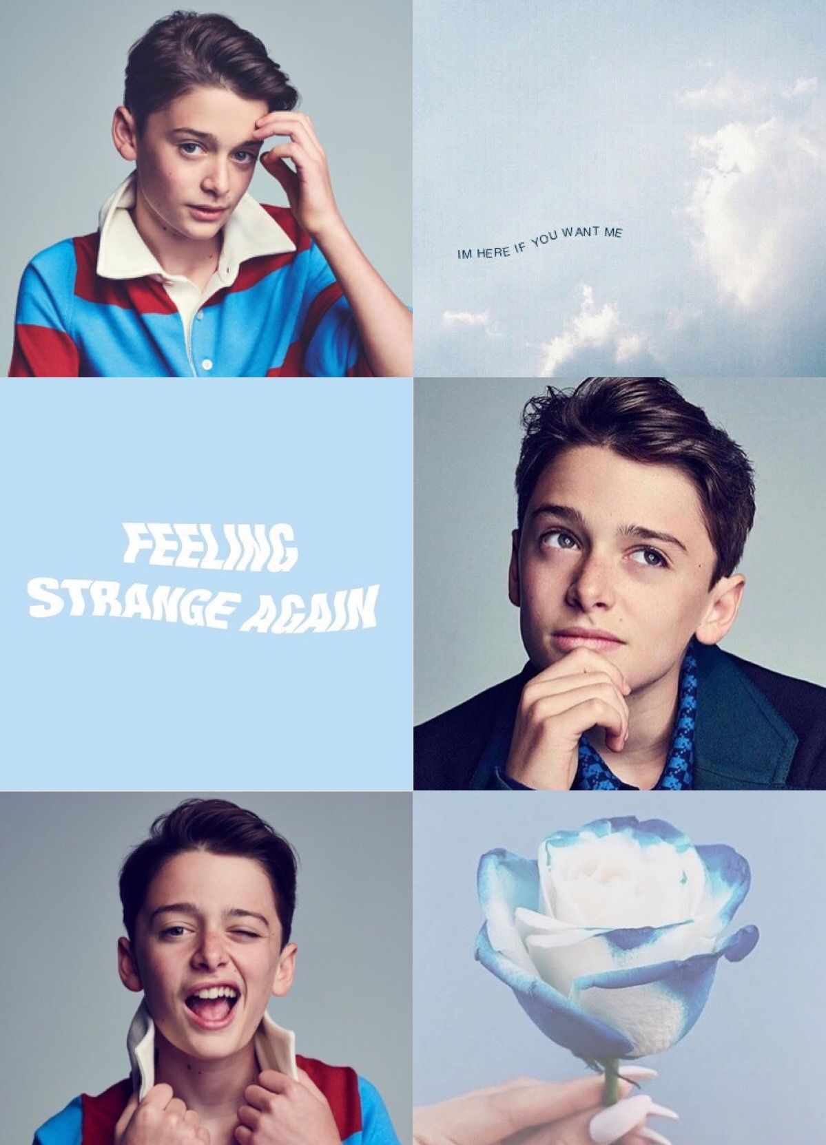 Noah Schnapp Collage Wallpapers