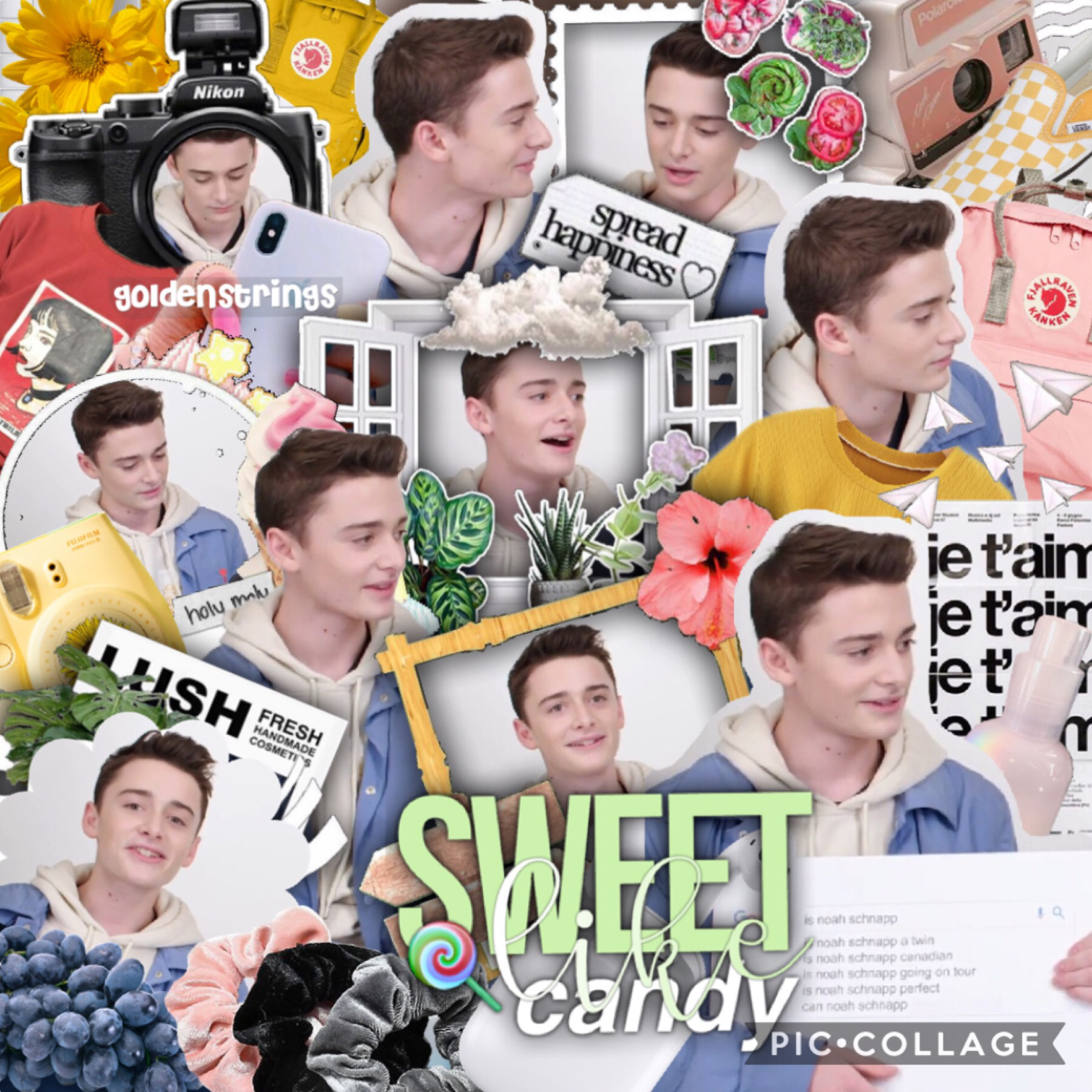 Noah Schnapp Collage Wallpapers