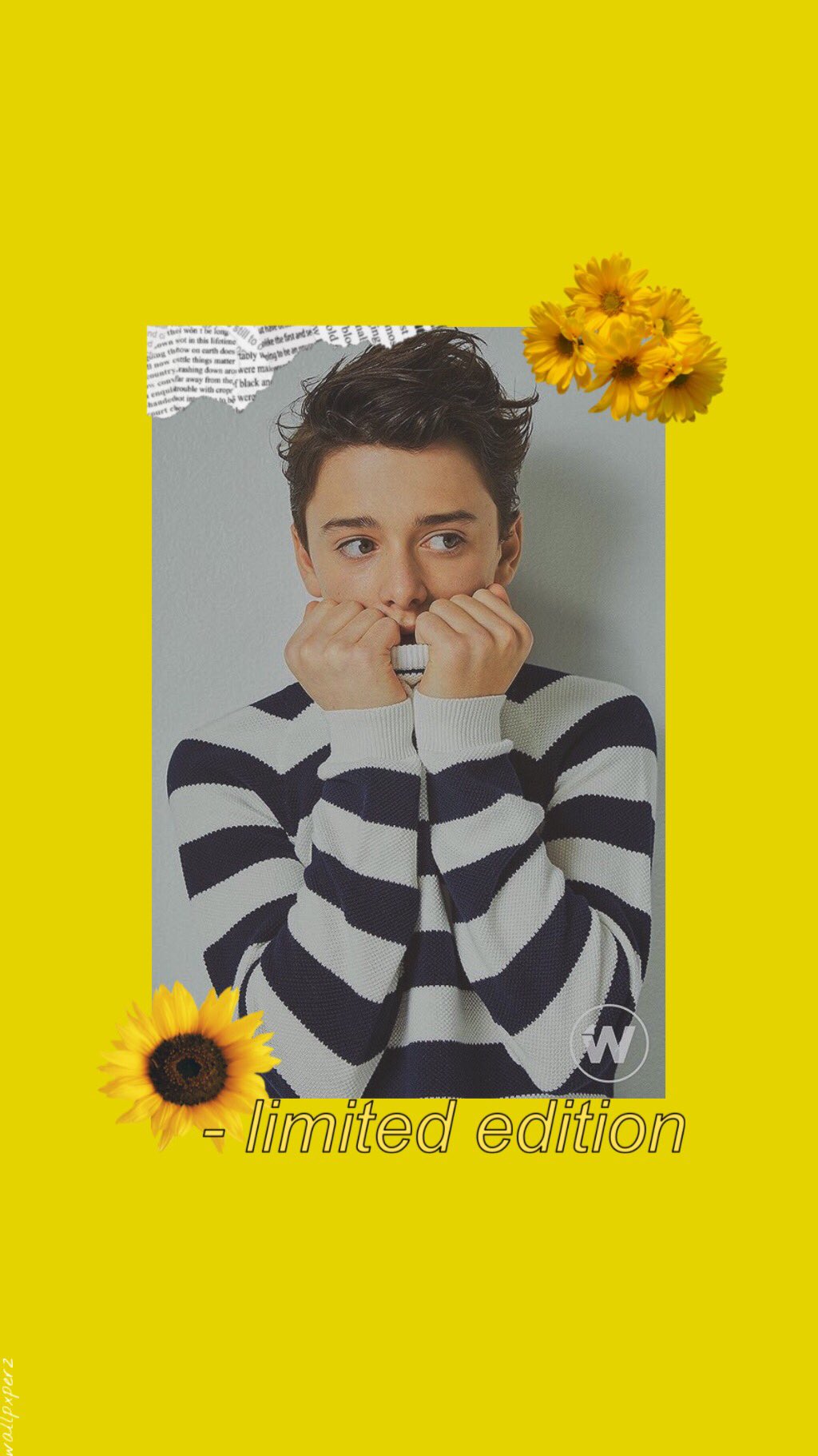 Noah Schnapp Wallpapers