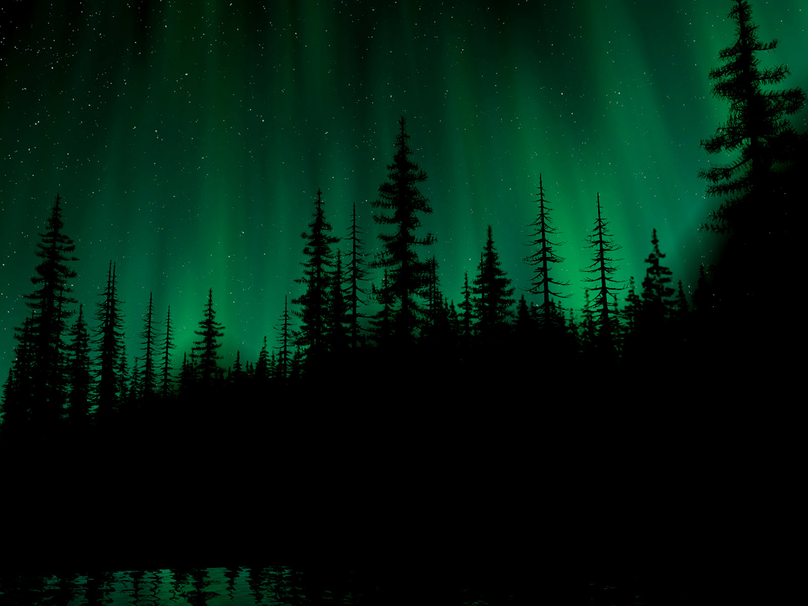 Northern Lights Forest Wallpapers