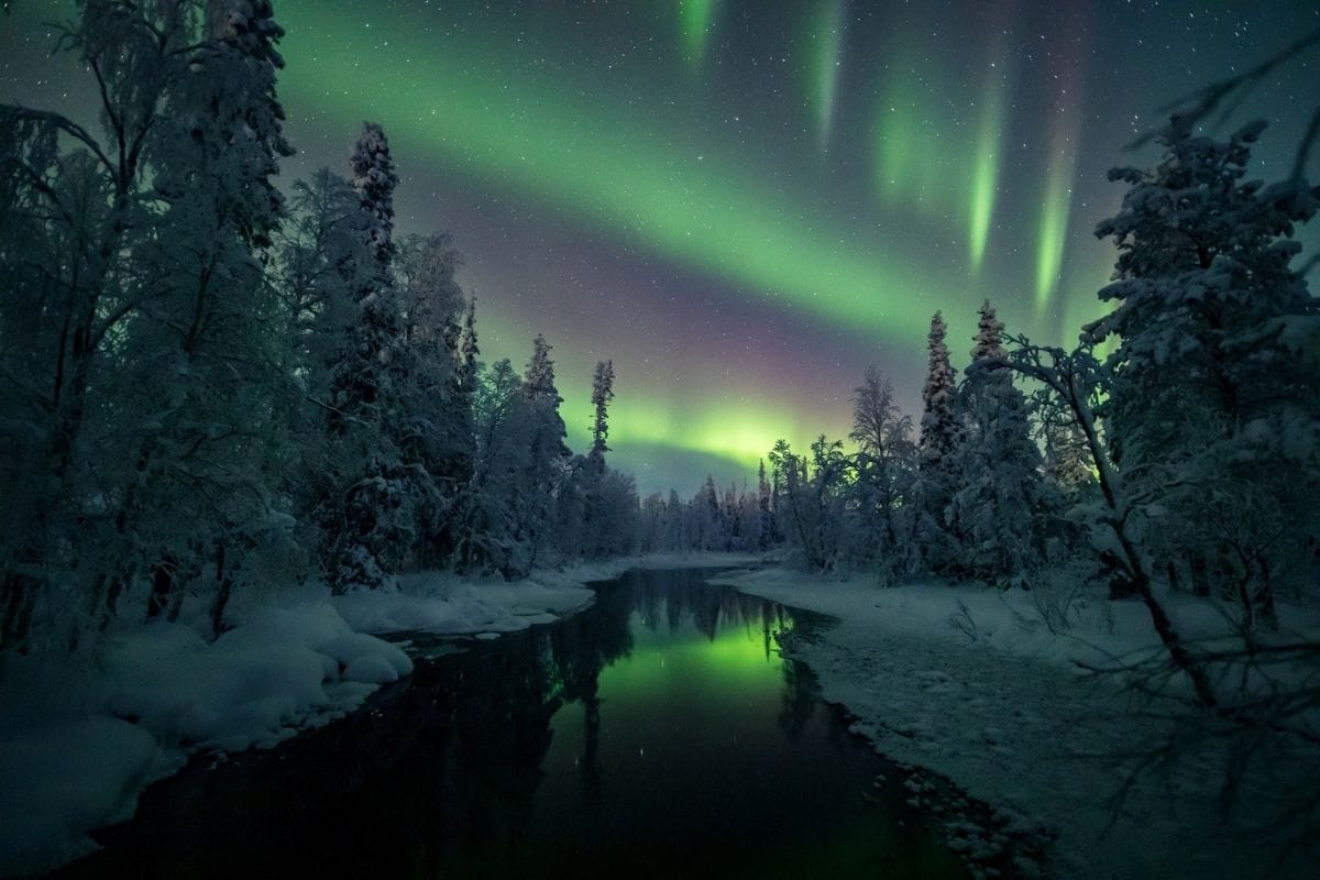 Northern Lights Forest Wallpapers