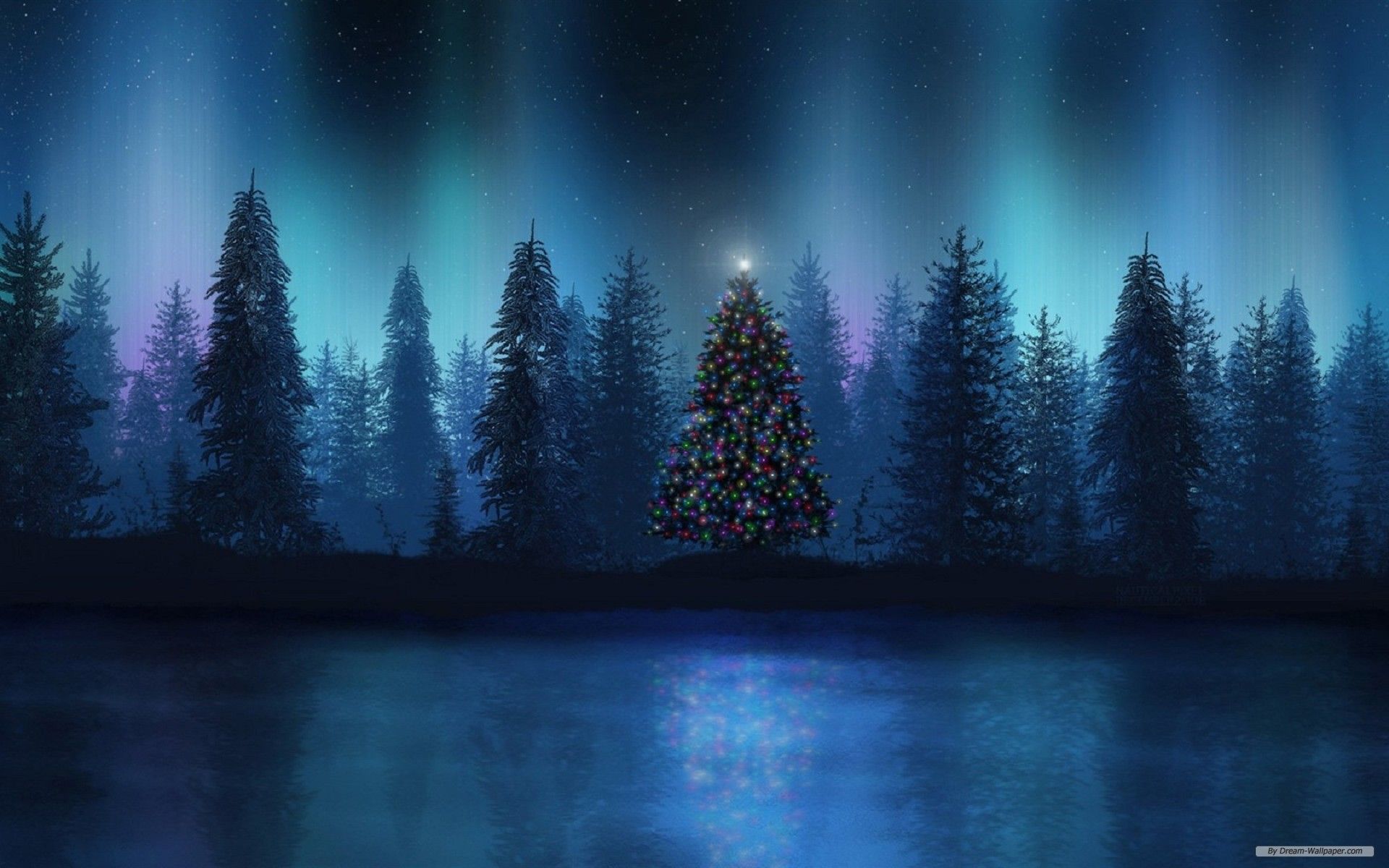 Northern Lights Forest Wallpapers