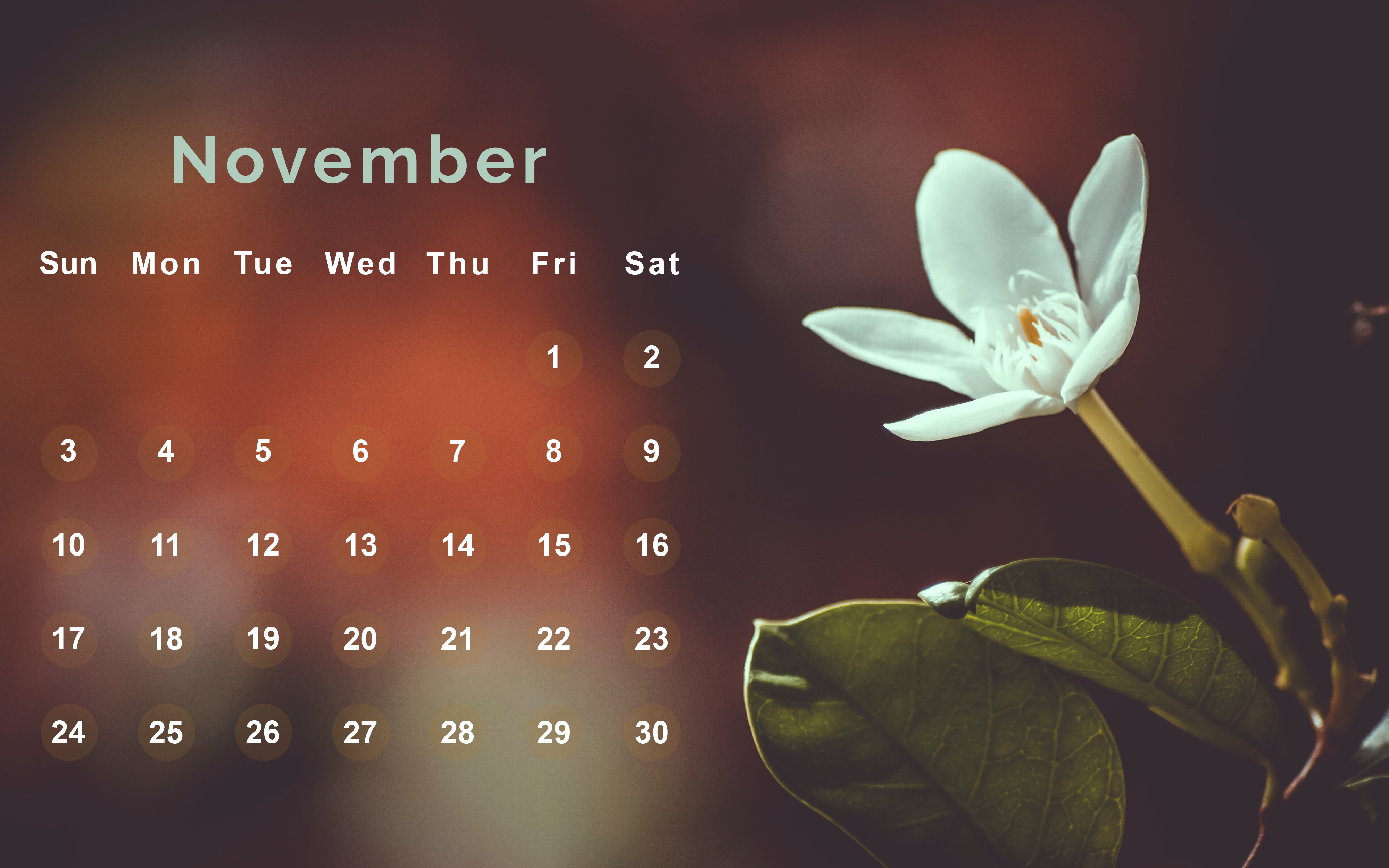 November 2019 Desktop Wallpapers