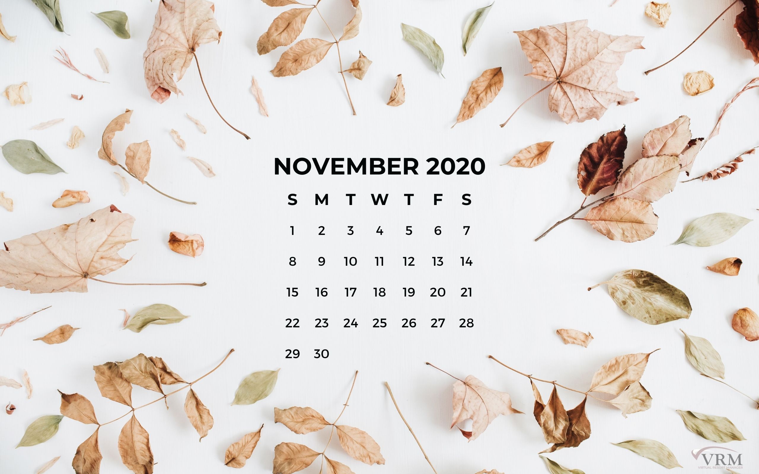 November 2020 Calendar Wallpapers