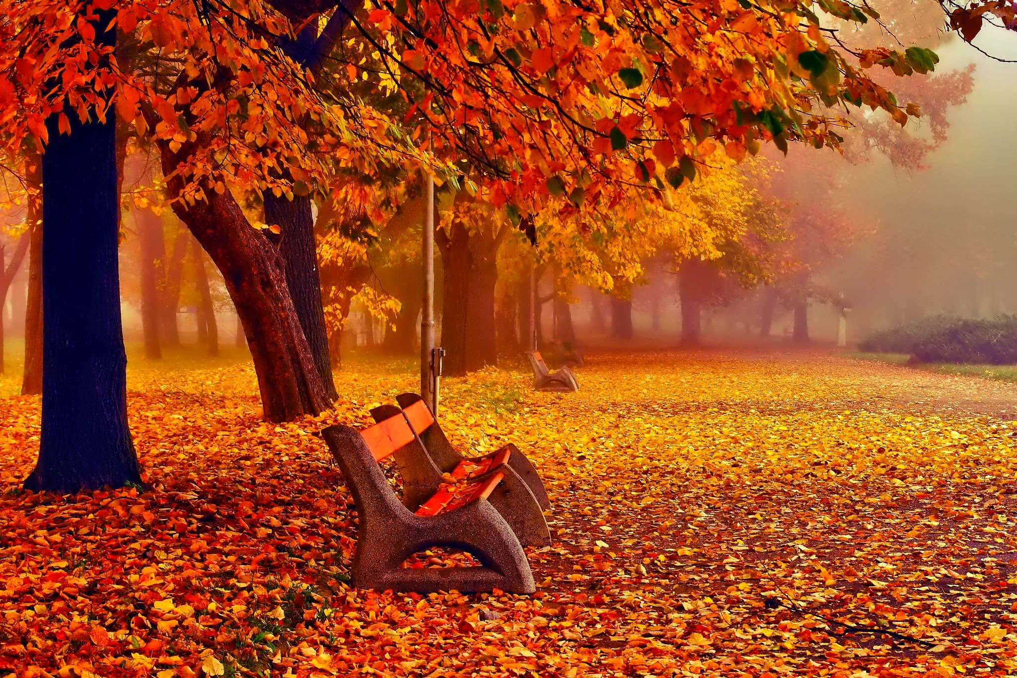 November Fall Images Wallpapers