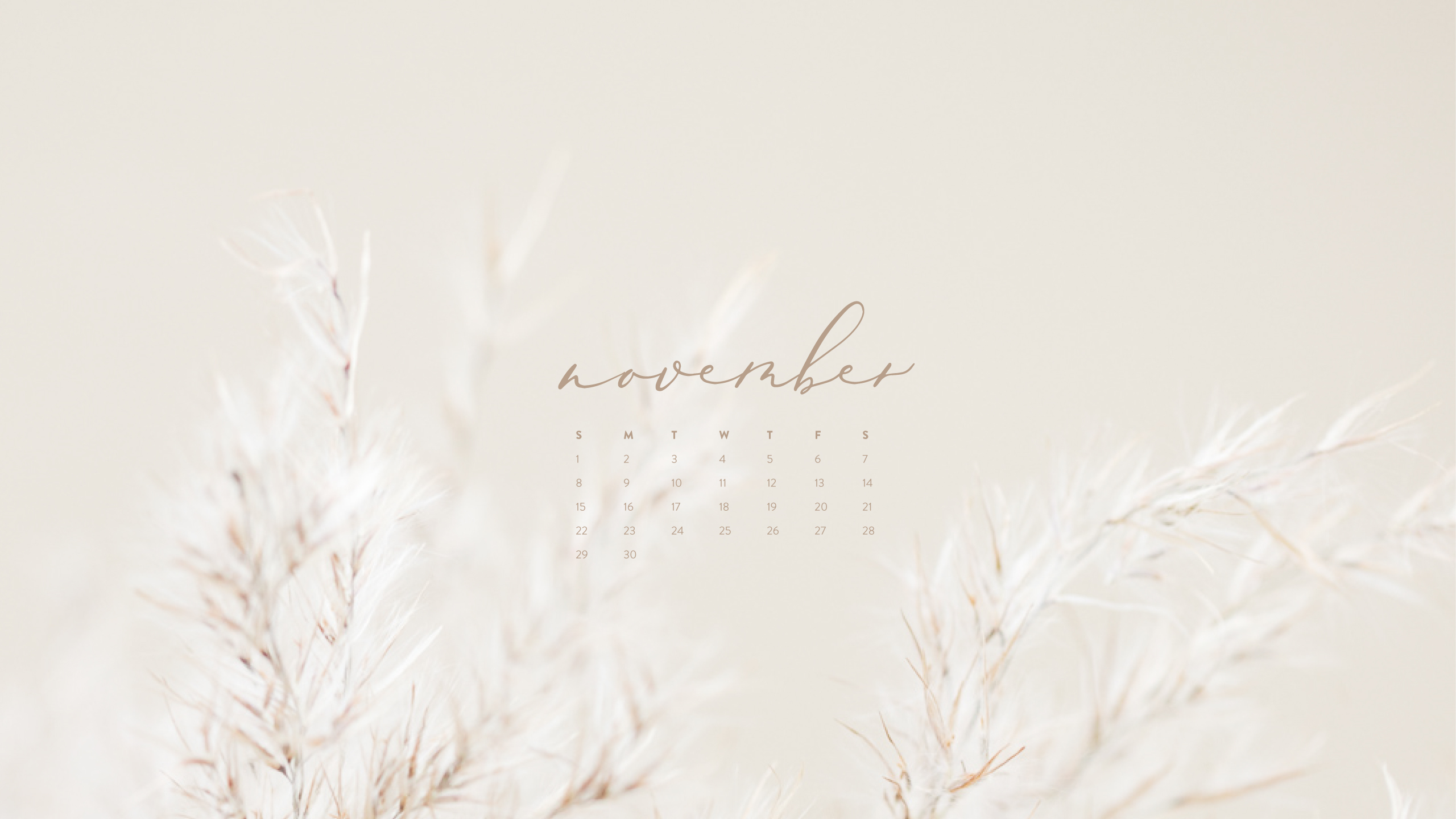 November Screensavers Free Wallpapers