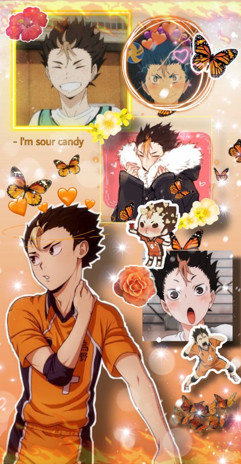 Noya Wallpapers