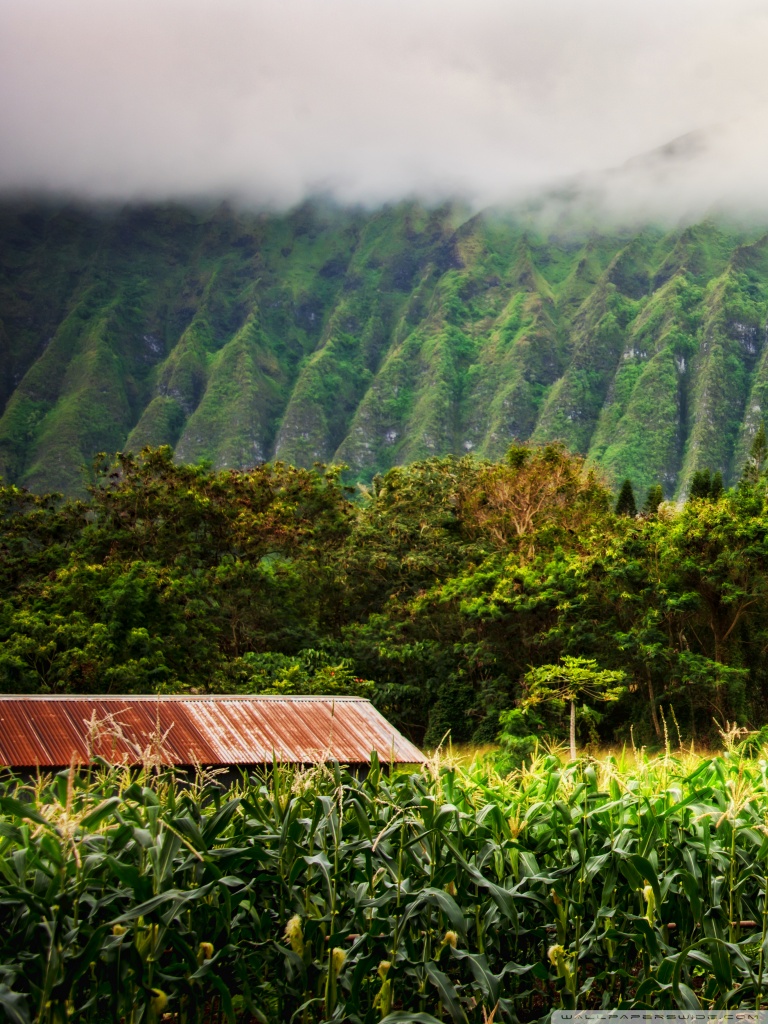 Oahu Iphone Wallpapers