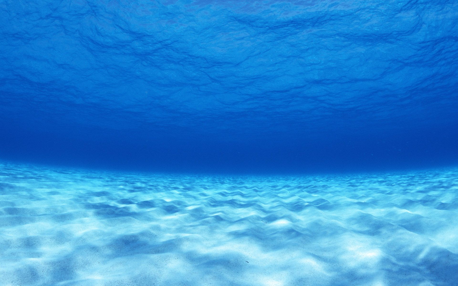 Ocean Floor Wallpapers