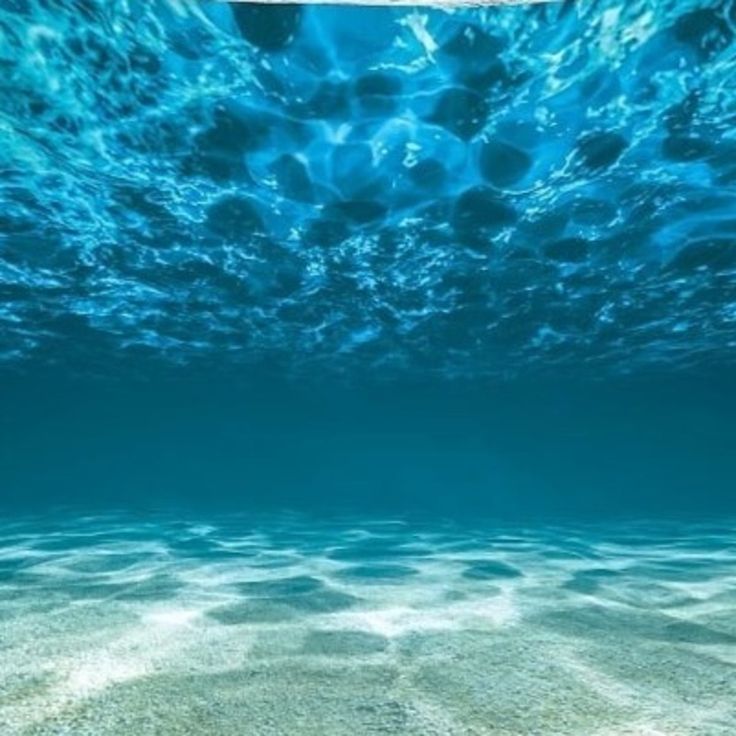 Ocean Floor Wallpapers