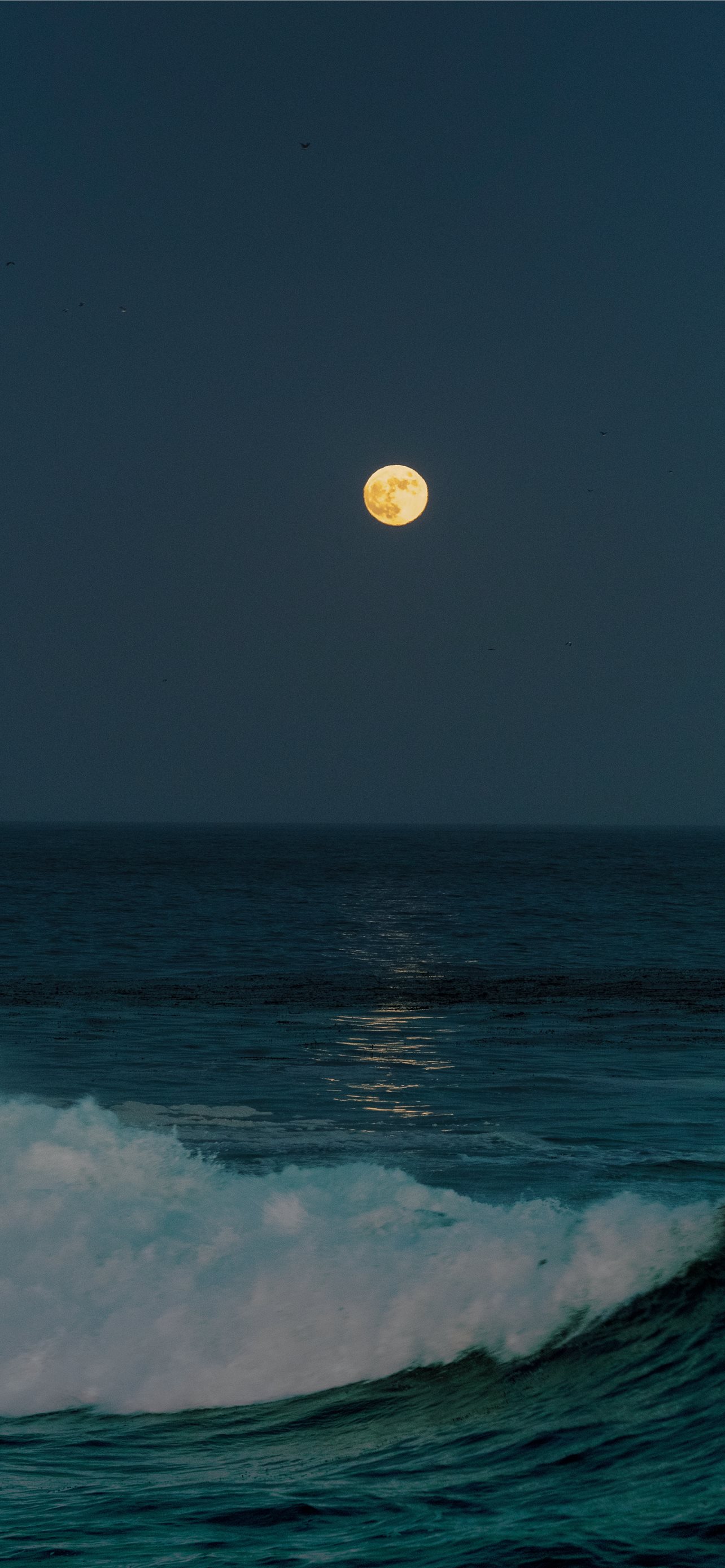 Ocean Moon Wallpapers