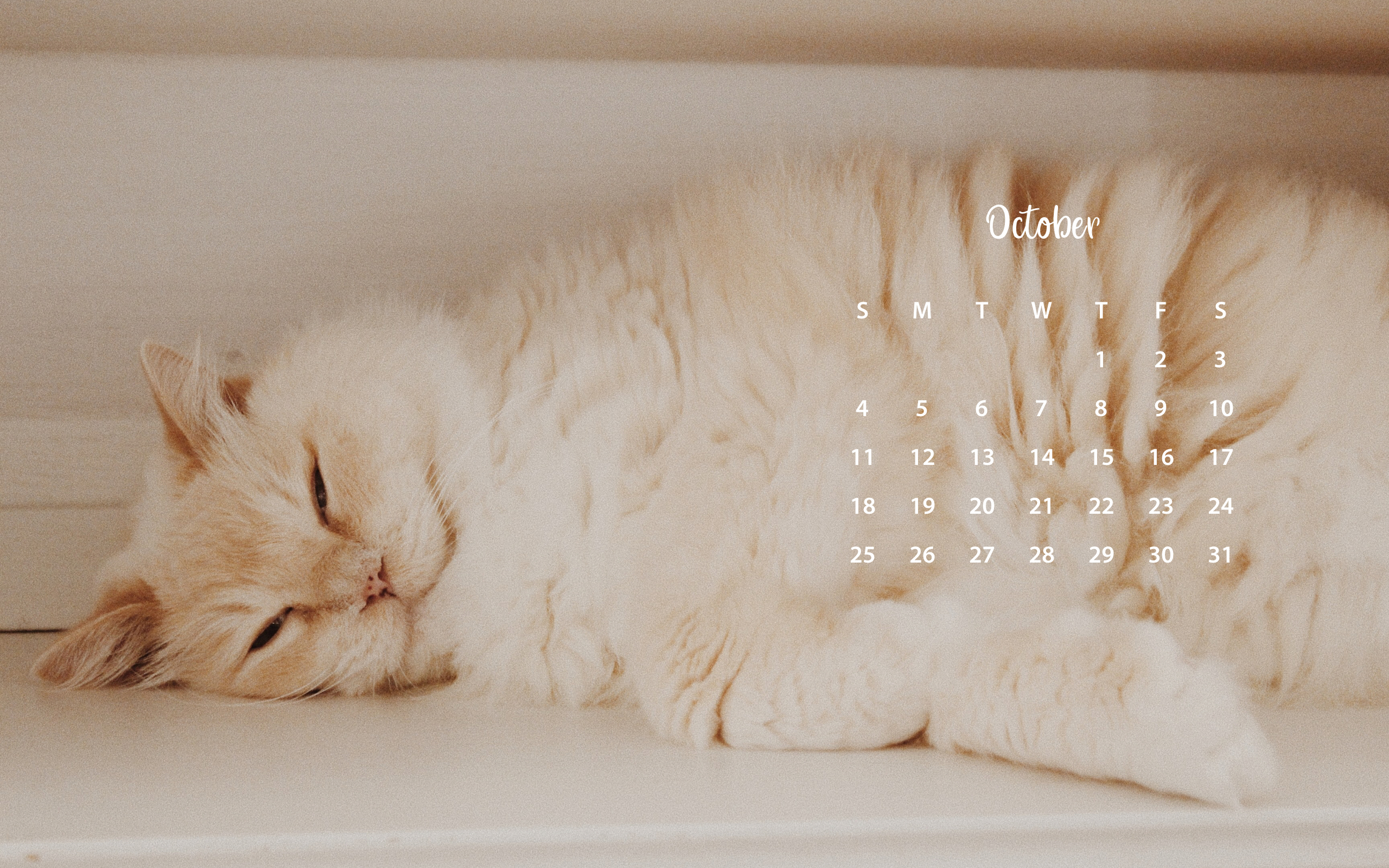 October 2020 Calendar Wallpapers