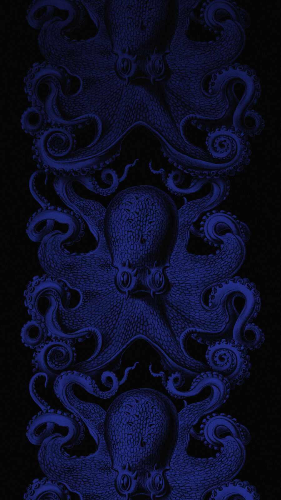 Octopus Iphone Wallpapers