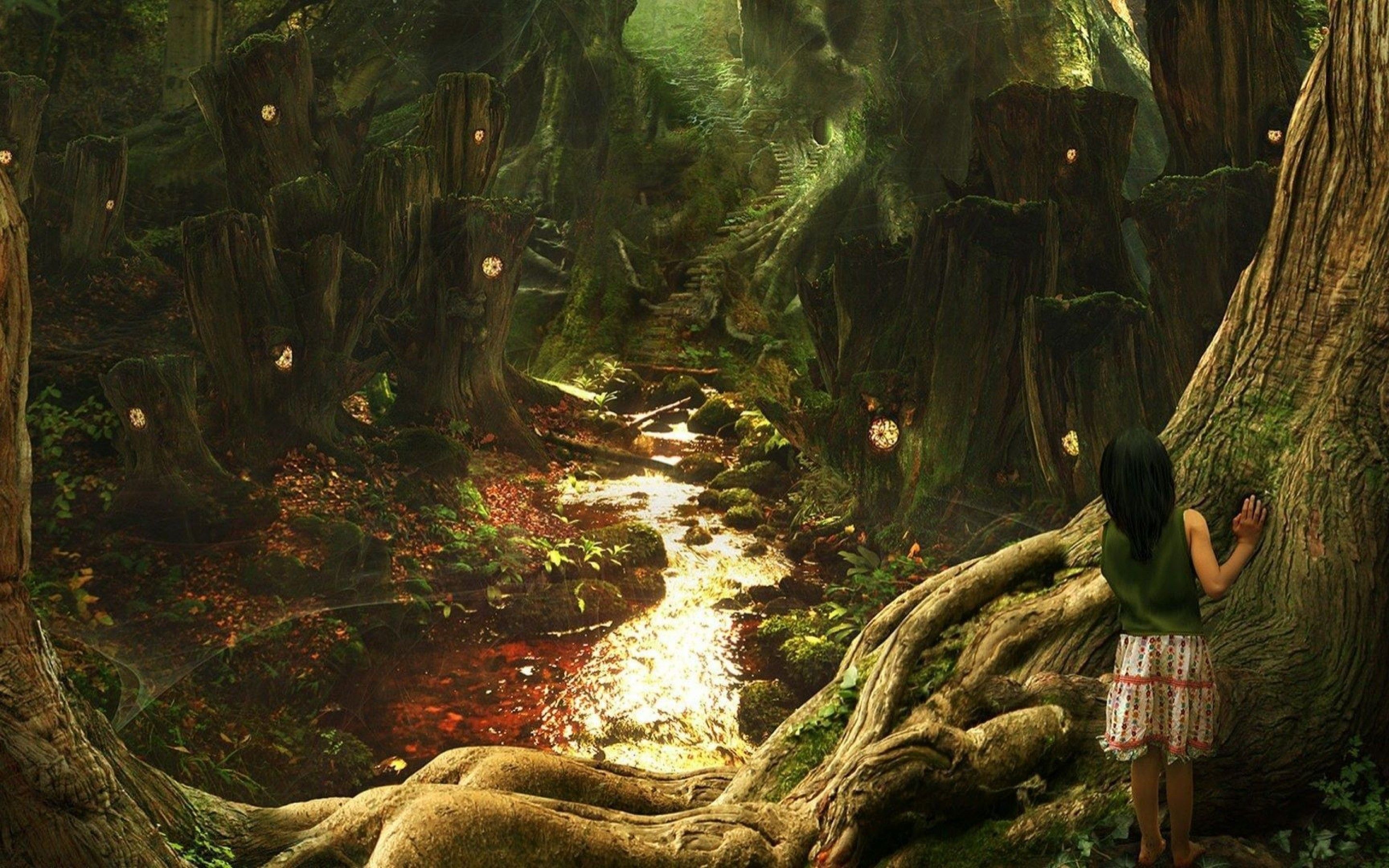 Old Forest Wallpapers