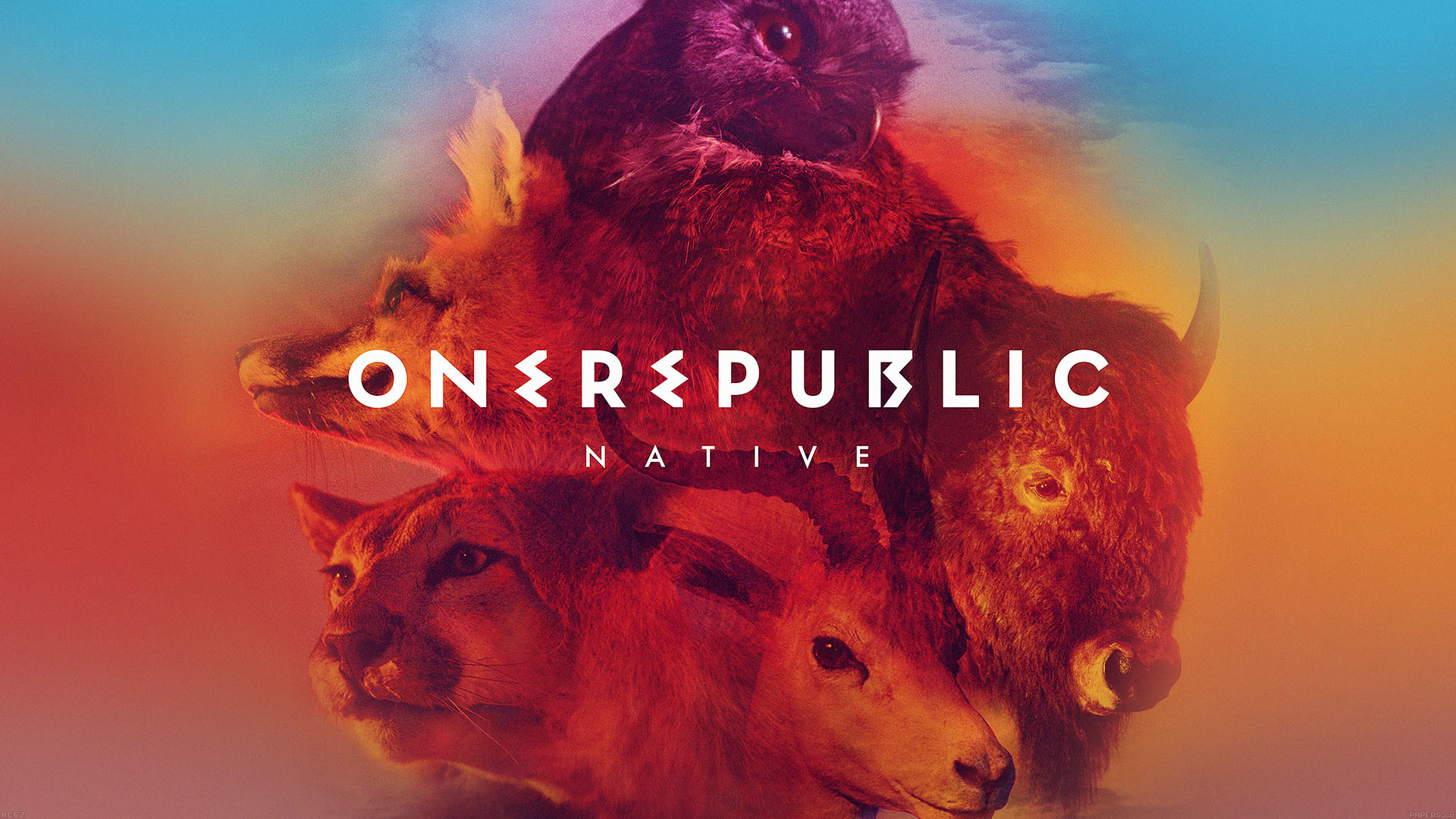 One Republic Wallpapers