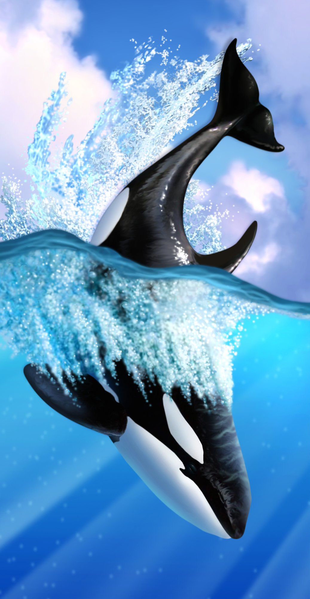 Orca Phone Wallpapers