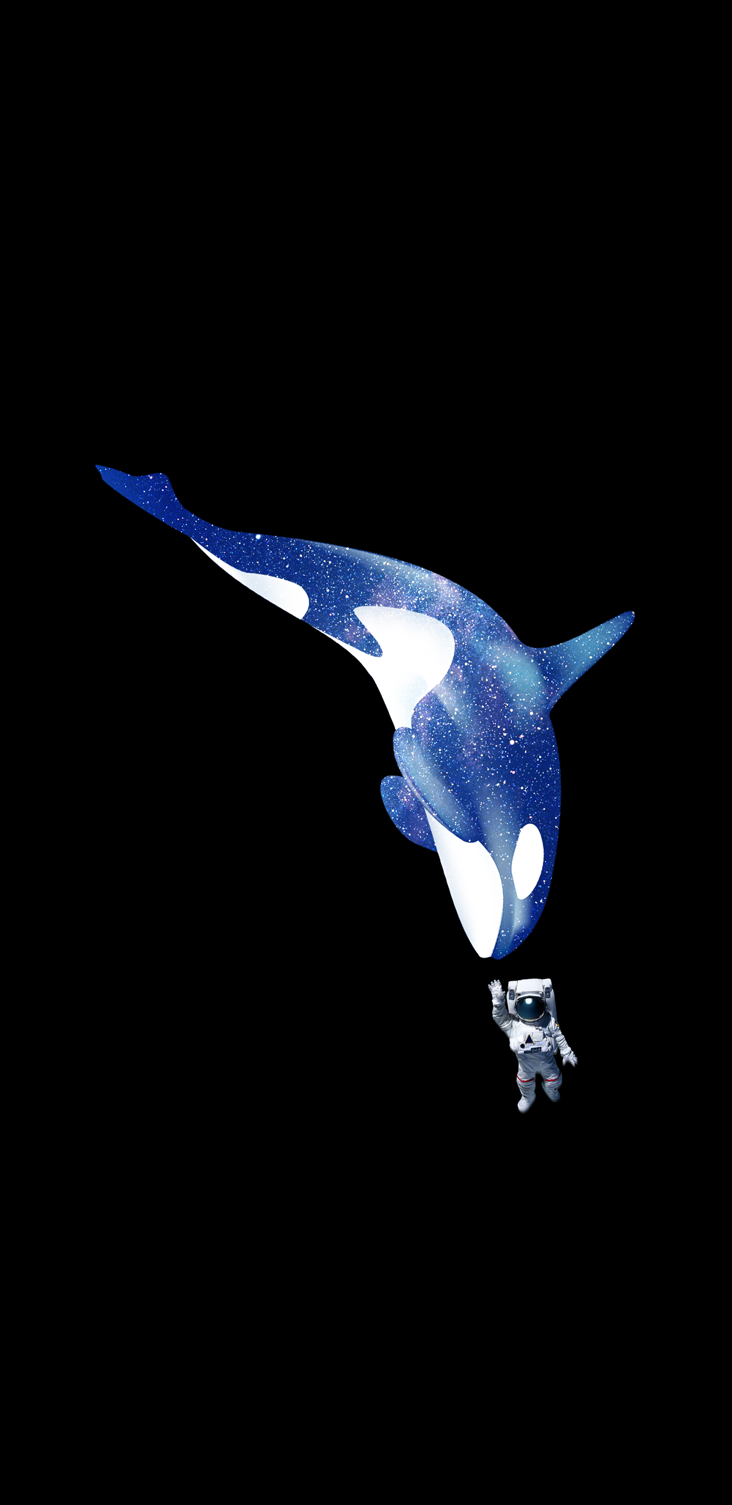 Orca Phone Wallpapers