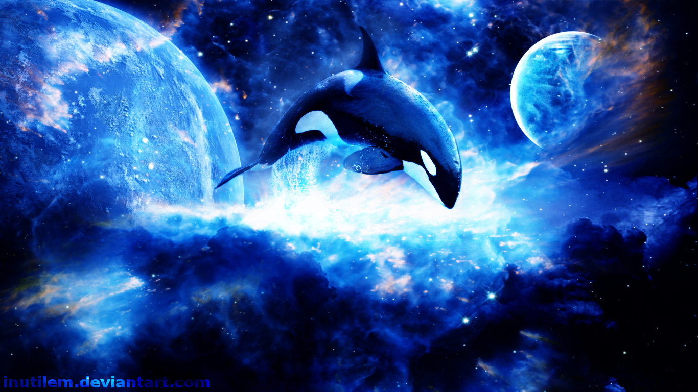 Orca Phone Wallpapers