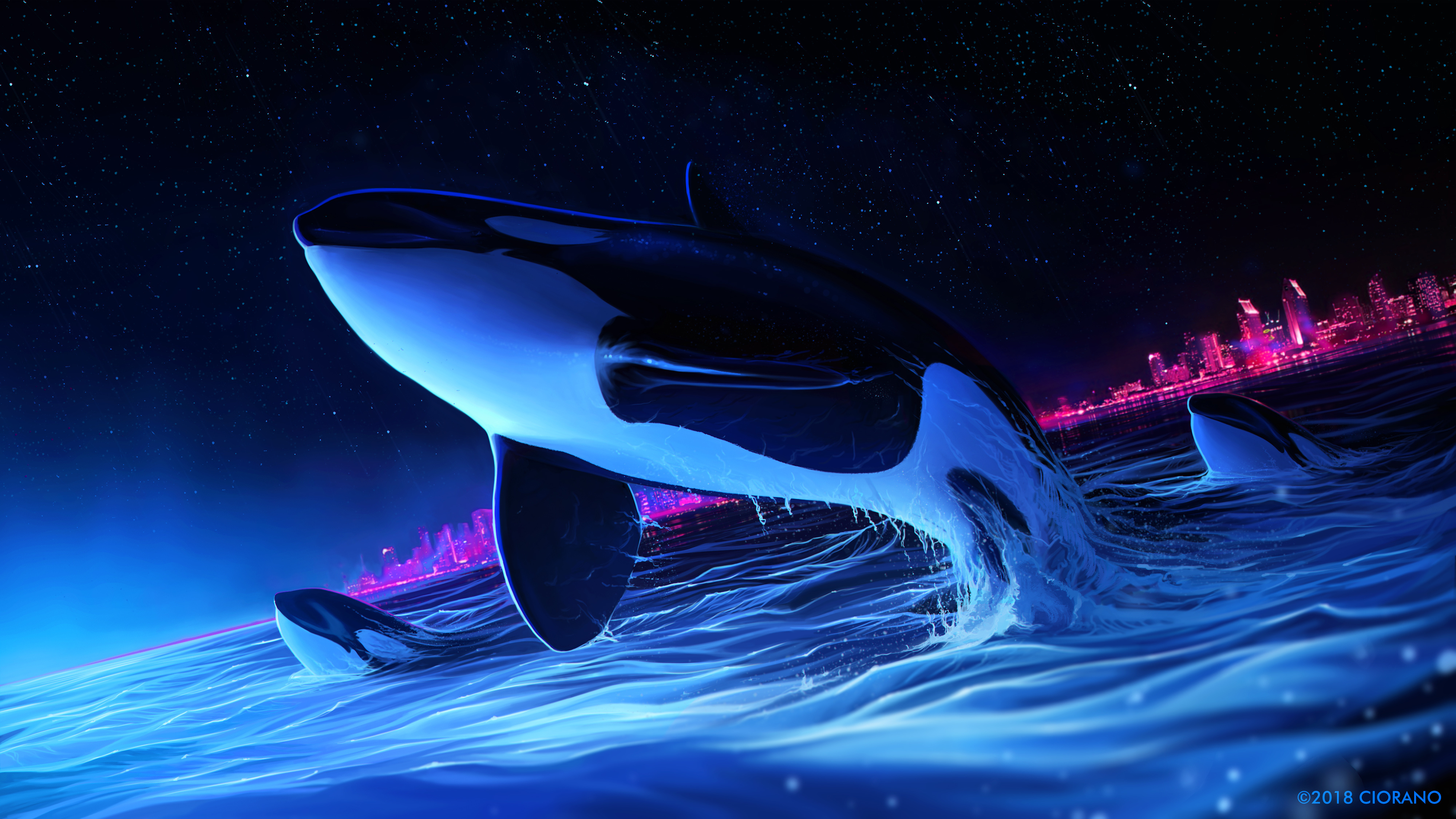 Orca Phone Wallpapers