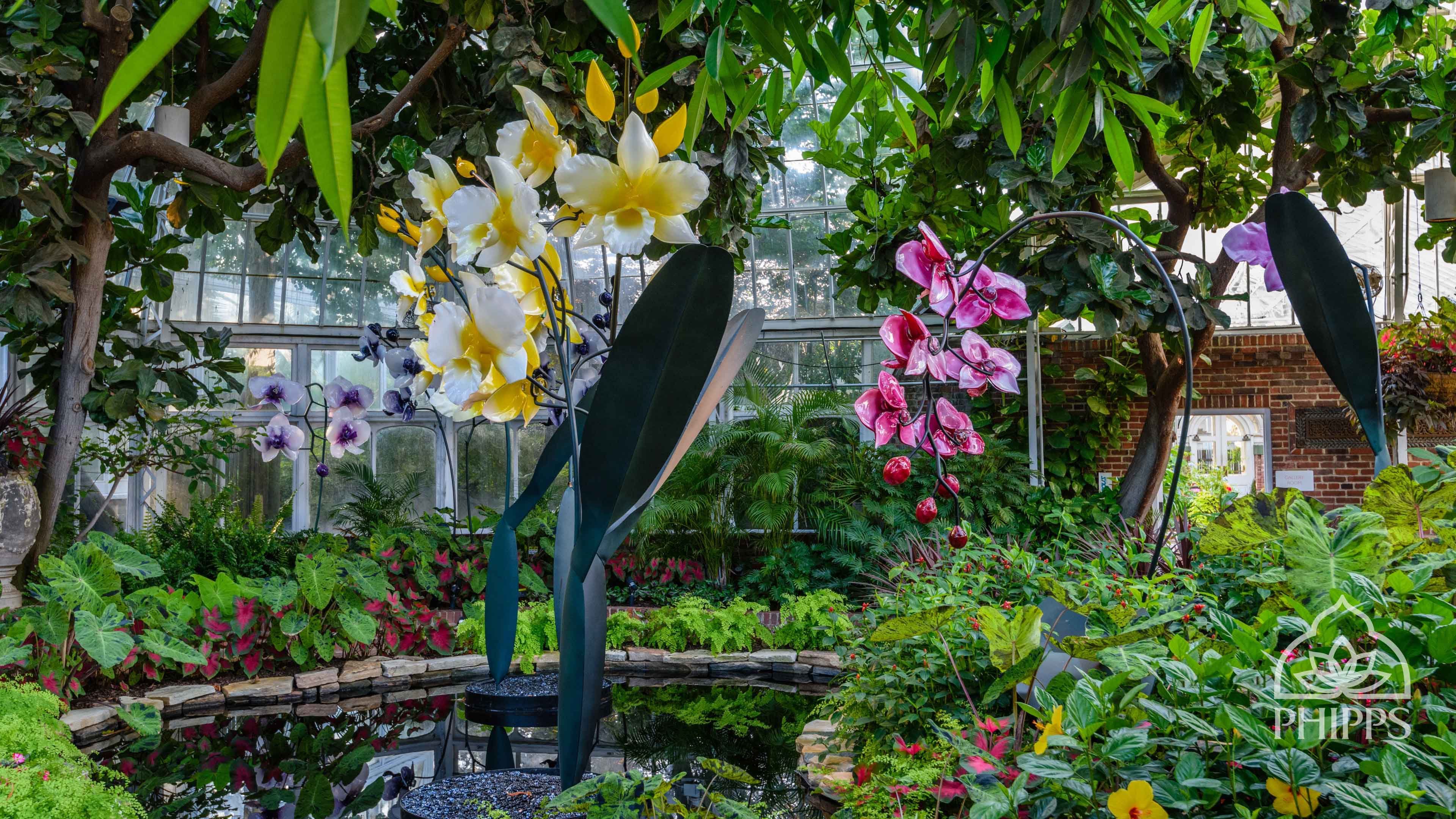 Orchid Gardens Wallpapers