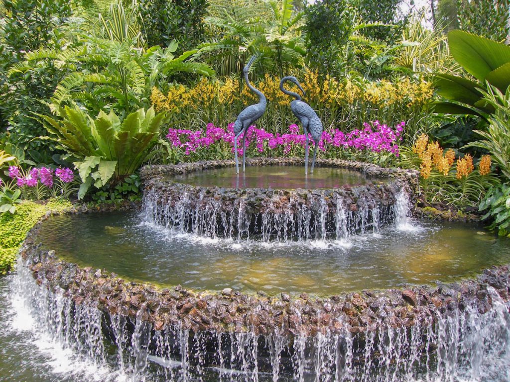 Orchid Gardens Wallpapers