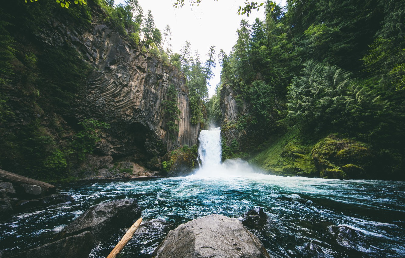 Oregon Forest Wallpapers