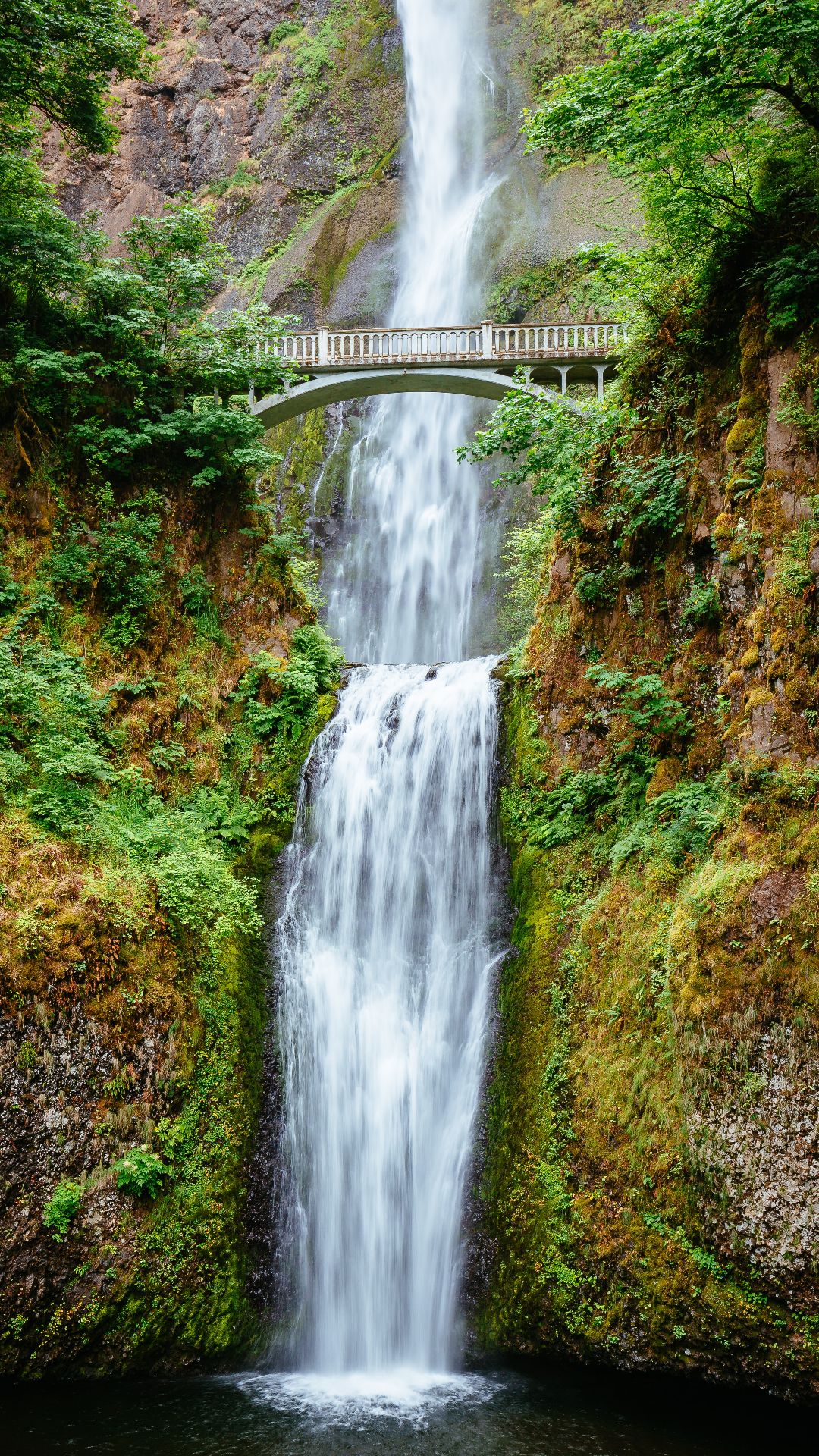 Oregon Iphone Wallpapers