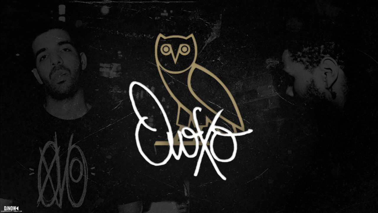 Ovo Owl Wallpapers