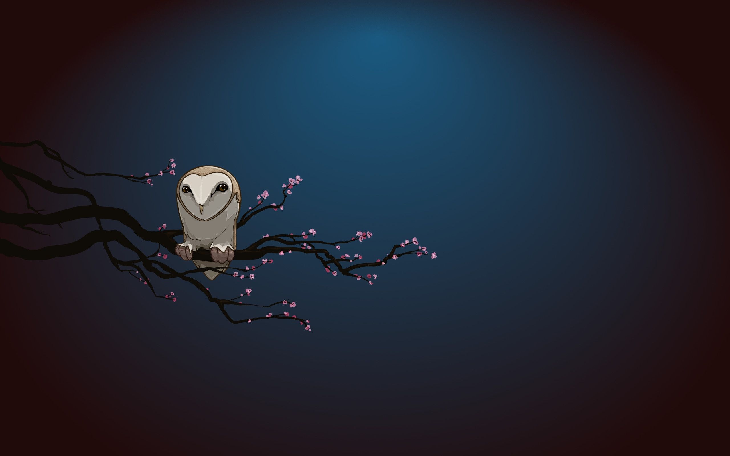 Ovo Owl Wallpapers