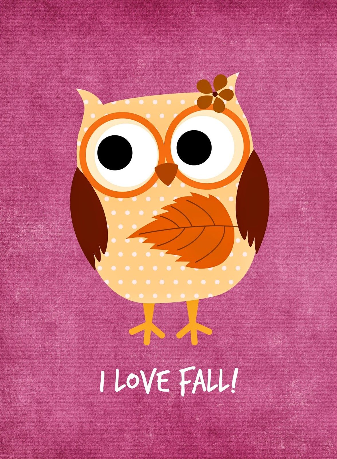 Owl In Fall Wallpapers