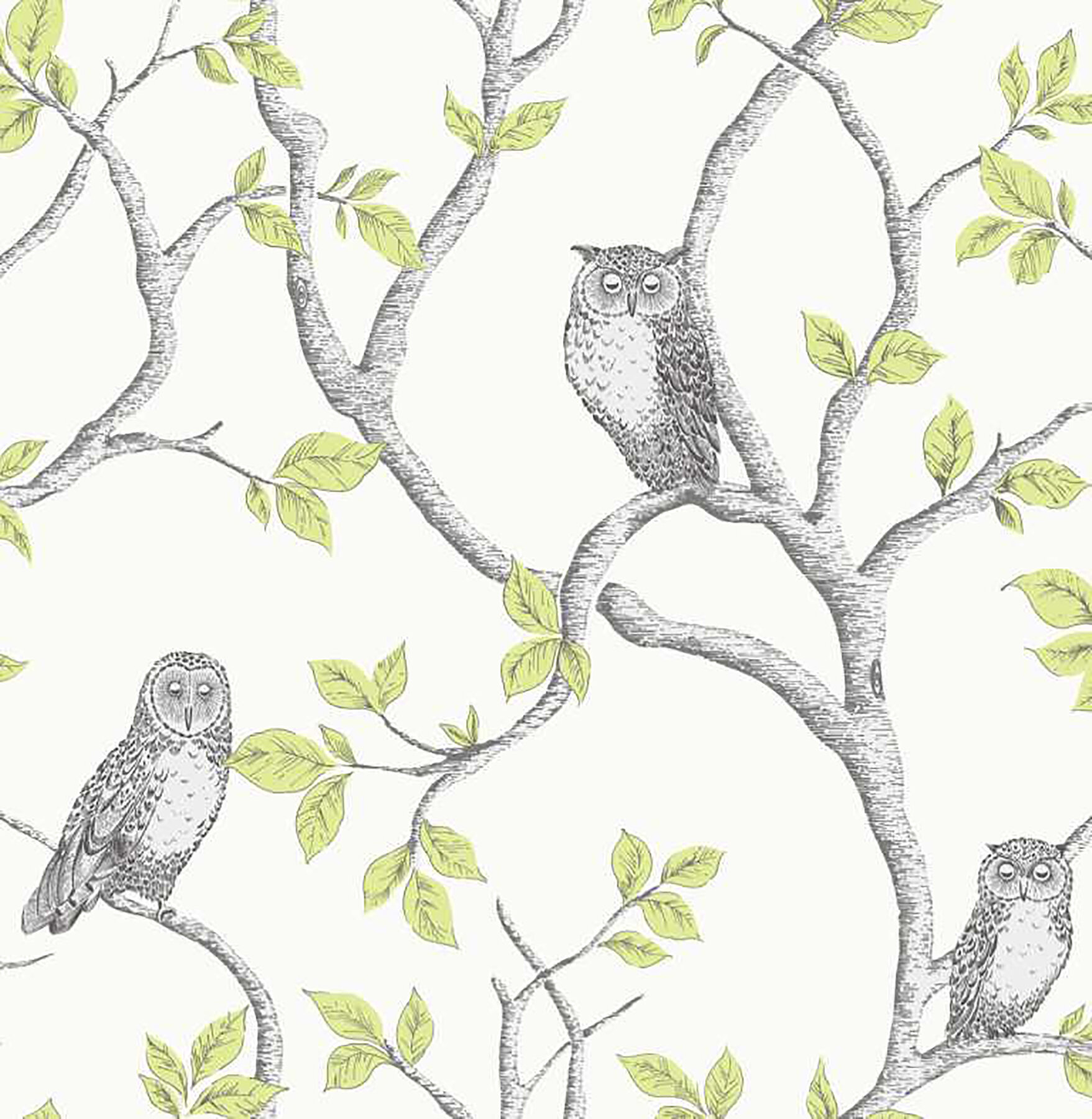 Owl Pattern Wallpapers